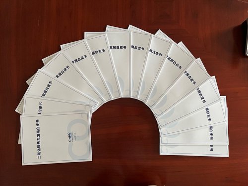 重磅！《二氧化碳熱泵發(fā)展白皮書(shū)》正式印發(fā)